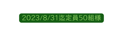 2023 8 31迄定員50組様