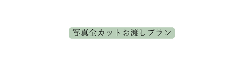 写真全カットお渡しプラン
