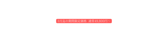 3月迄の期間限定価格 通常49 800円